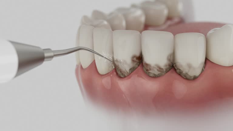 Reliable Dental contractor in Conway County County, AR by Dentist Open Now